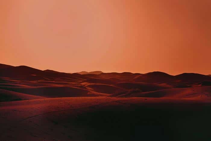 Elaine Batton, Sahara Deep (crop)